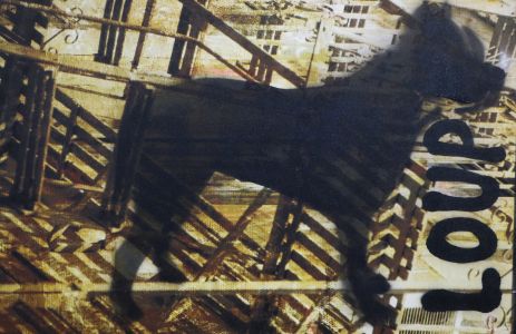 Jean Starck - Loup Noir - Graphe et photographie - 2016 - 79 x 105 cm