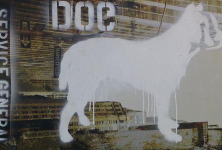 Jean Starck - Chien Blanc, Sirius - Graphe et photographie - 2016 - 79 x 105 cm